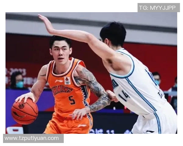 刘铮：从篮球场上的拼搏者到社会公益的践行者的精彩人生旅程