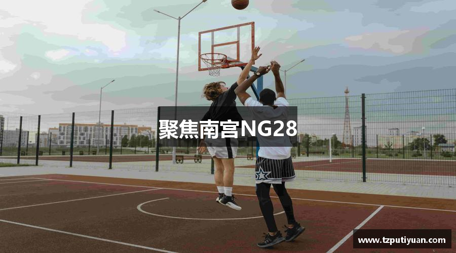 聚焦南宫NG28